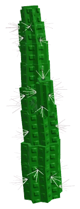 Garden Horizons Cactus fully grown plant
