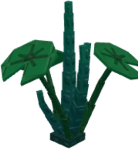Garden Horizons Night Lotus fully grown plant